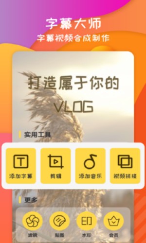 字幕大师截图