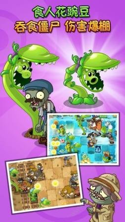 pvz1国际版截图