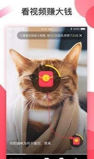 叮当视频截图