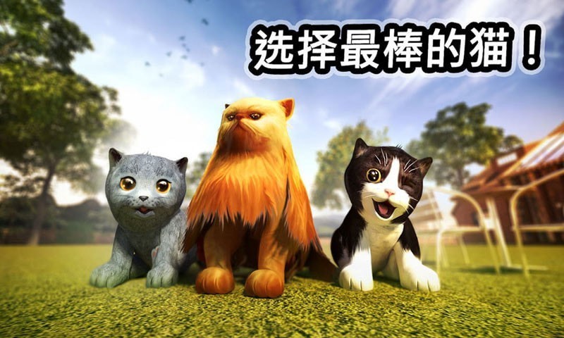 迷你小猫城市生存截图