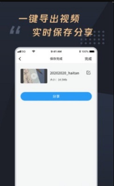 视频加字幕大师截图