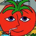 mrtomatoes恐怖游戏