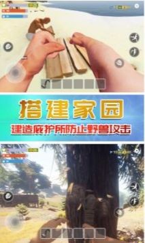 奇行种模拟器截图