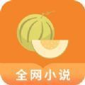 肉丸书吧app