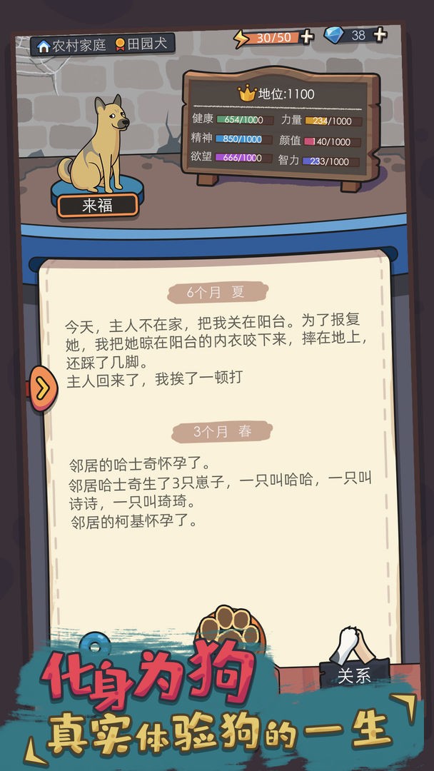 狗生模拟器无广告版截图