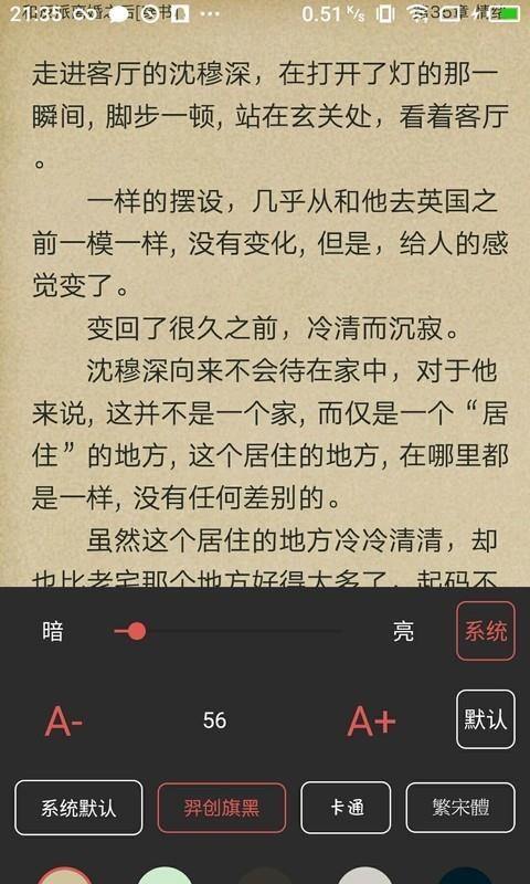 鸿雁小说截图