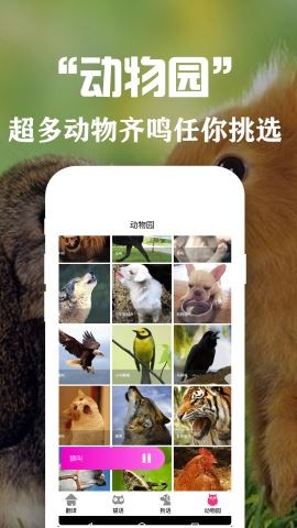 狗狗猫交流翻译器截图