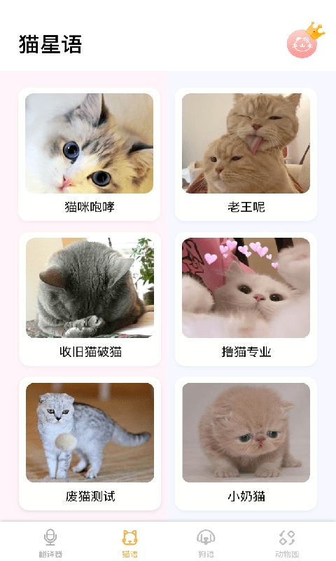 猫猫语言转换器截图