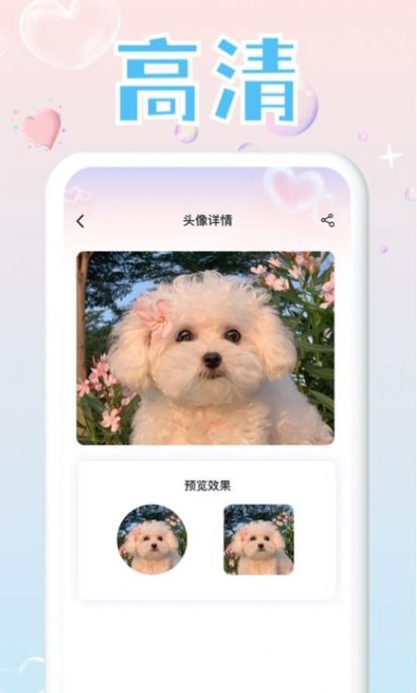 头像研究所app截图