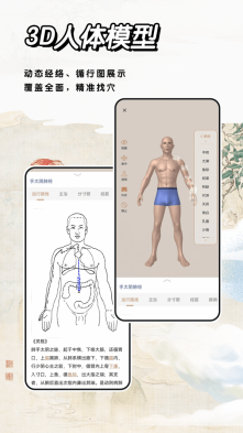 中医经络穴位截图