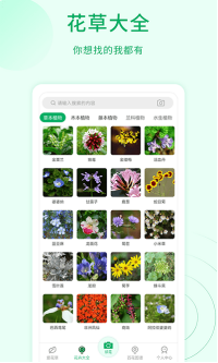 花草识别截图