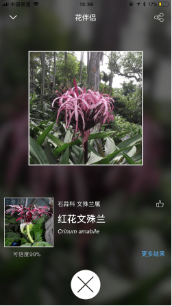 花伴识别截图