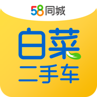 白菜二手车app