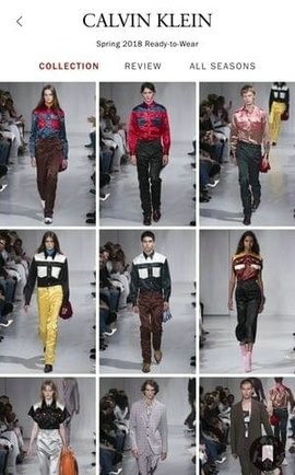 Vogue Runway截图