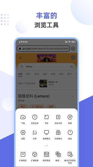 狐猴浏览器app截图