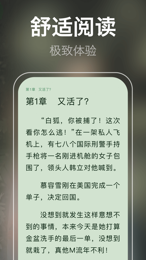 芃狐免费小说截图