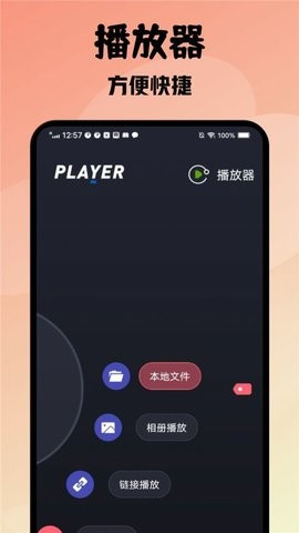 紫电播放器app截图