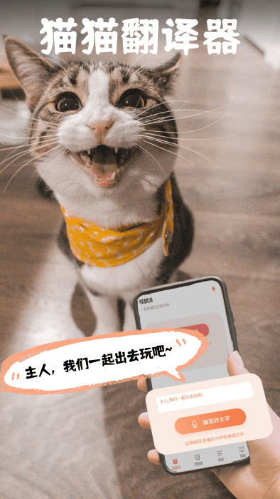 pet猫翻译截图