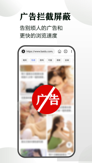 隐身浏览器截图