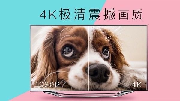 CIBN4K花园截图