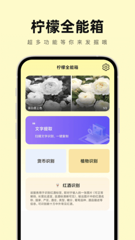 柠檬全能箱app截图