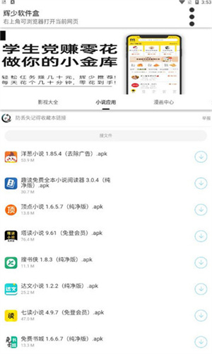 辉少软件库app截图