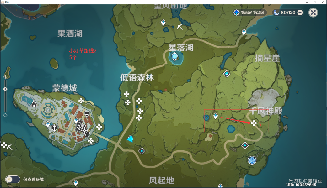 原神小灯草去哪采 小灯草采集路线