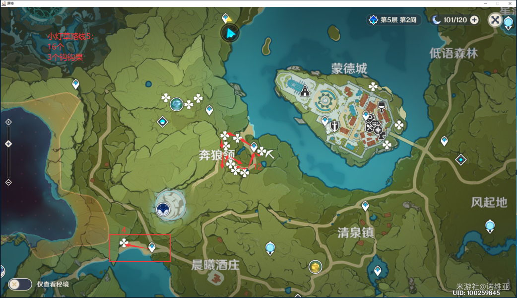 原神小灯草去哪采 小灯草采集路线