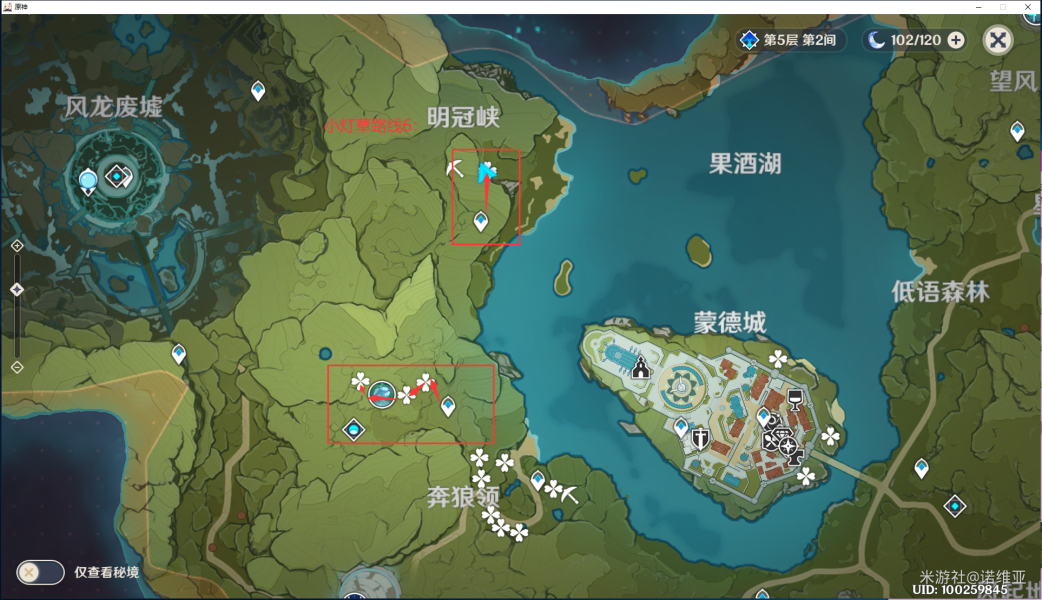 原神小灯草去哪采 小灯草采集路线