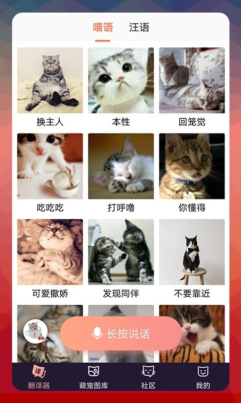 猫语翻译器