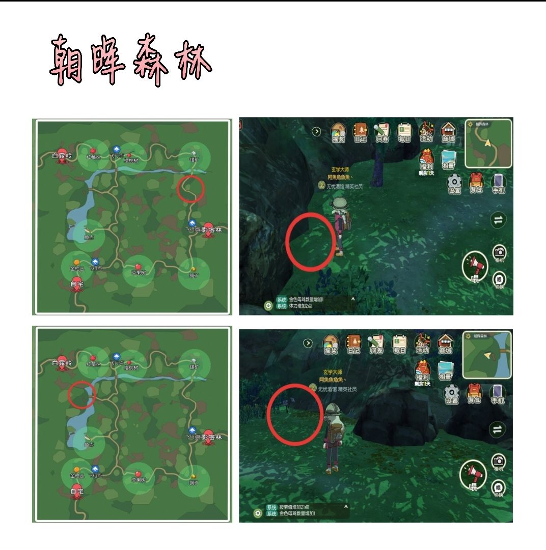 小森生活稀有虫在哪里 稀有虫位置一览