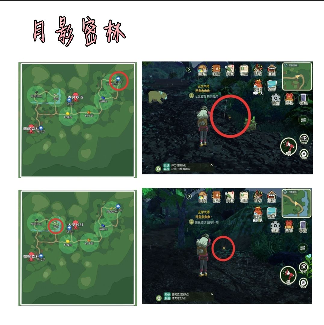 小森生活稀有虫在哪里 稀有虫位置一览