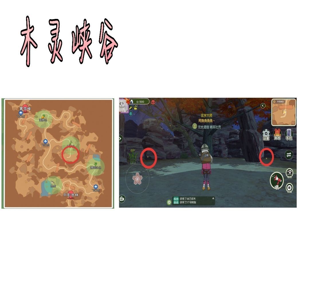 小森生活稀有虫在哪里 稀有虫位置一览