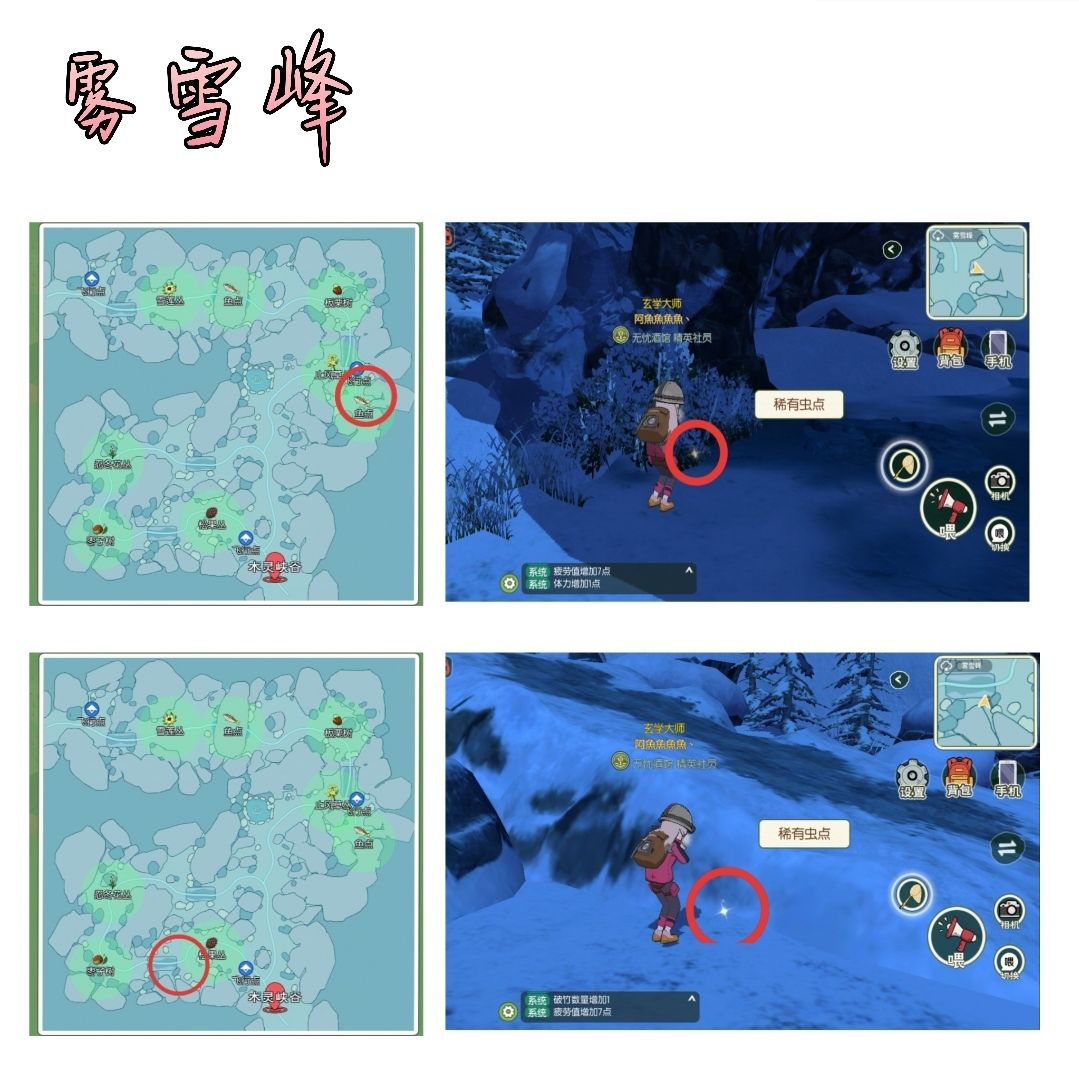 小森生活稀有虫在哪里 稀有虫位置一览