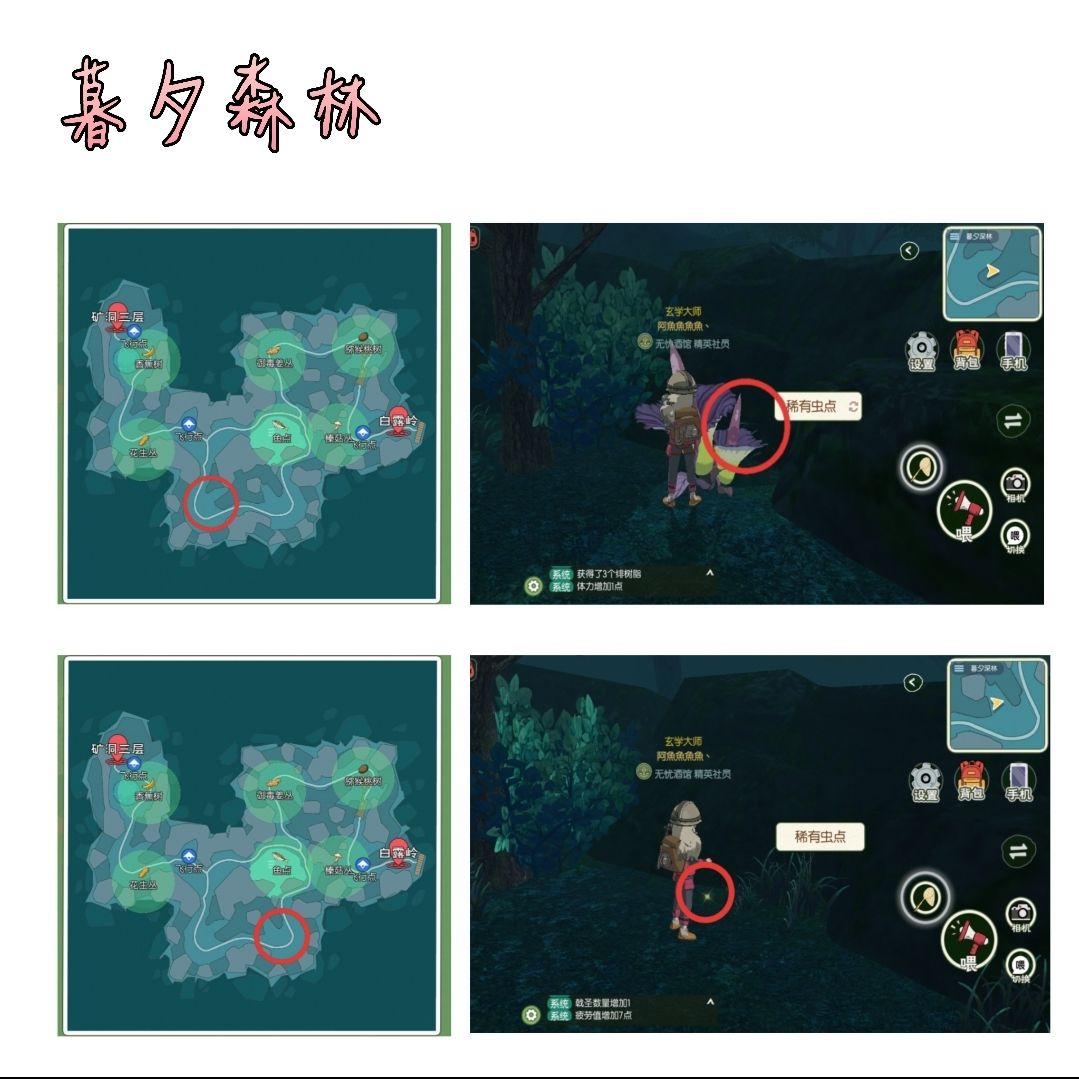 小森生活稀有虫在哪里 稀有虫位置一览