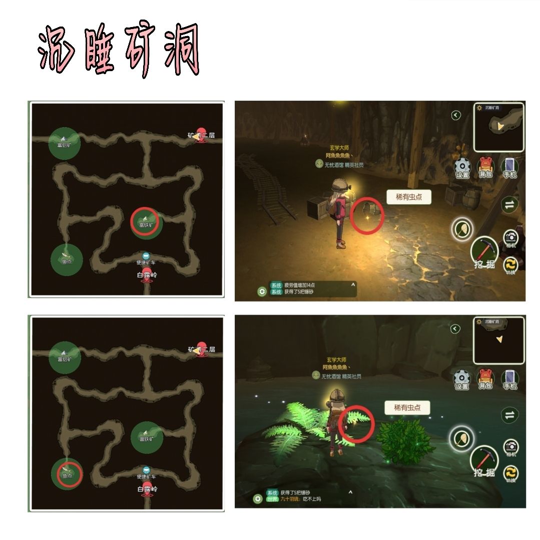 小森生活稀有虫在哪里 稀有虫位置一览