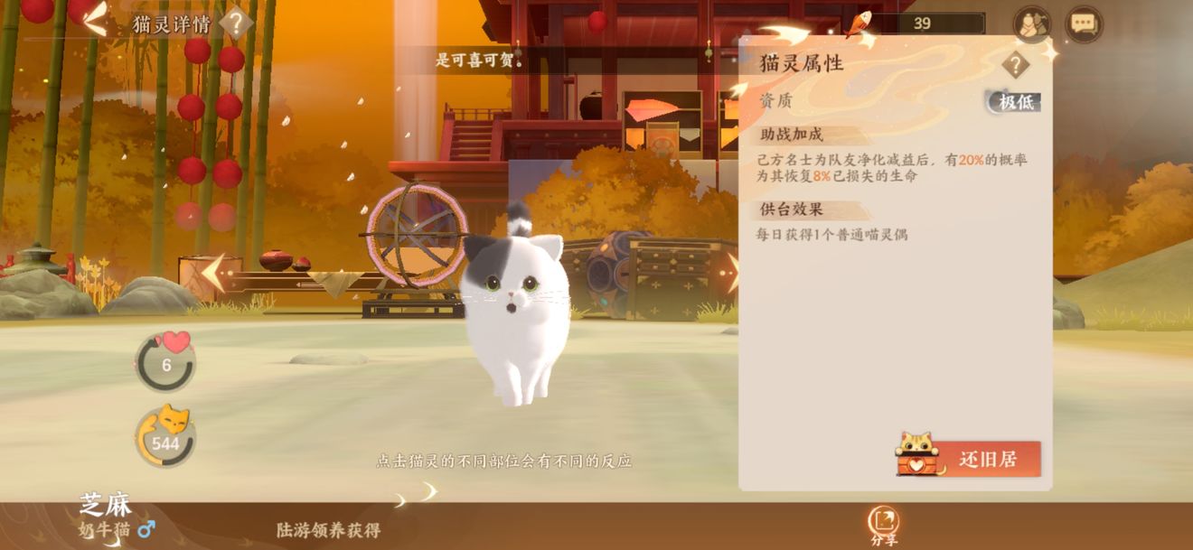 忘川风华录猫猫养成攻略 猫猫养成技巧分享