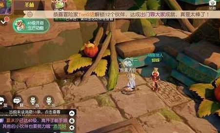 梦想新大陆守株待兔任务怎么做 守株待兔任务流程详解
