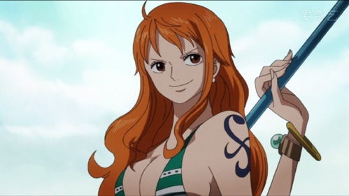 航海王热血航线奈美怎么样 奈美定位及优劣势介绍