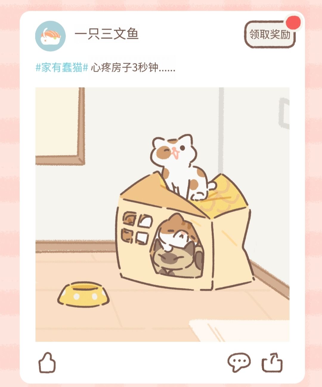 遇见你的猫纸箱猫窝触发猫圈分享