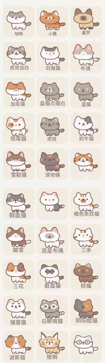 遇见你的猫猫猫图鉴一览