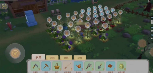摩尔庄园手游种菜技巧分享