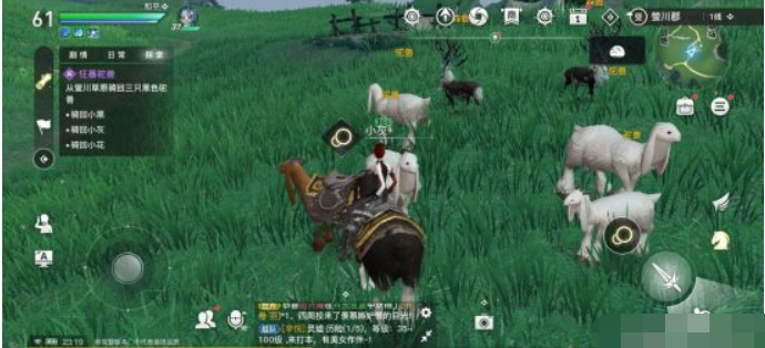 天谕手游小花羊驼攻略 小花羊驼在哪