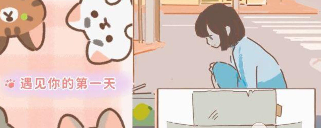 遇见你的猫爱心怎么获取
