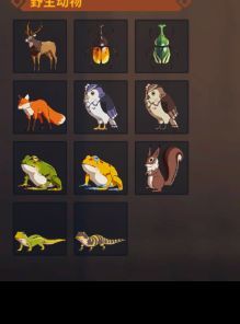 狩猎时刻森林跑图采集攻略