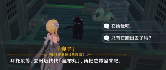 原神隐藏成就她和他的猫攻略
