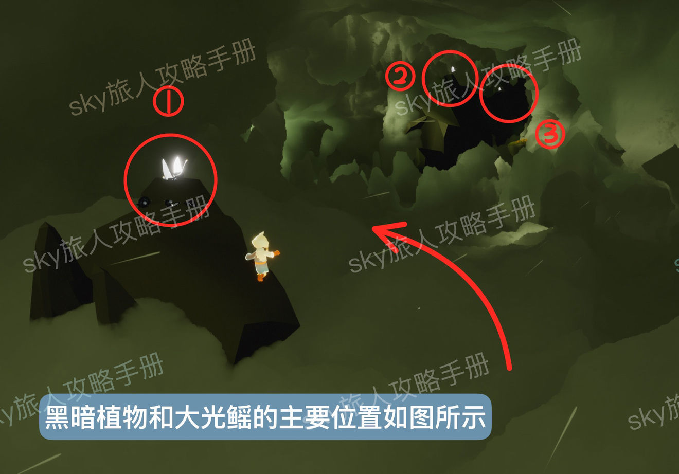 光遇风行季第五个季节任务怎么做