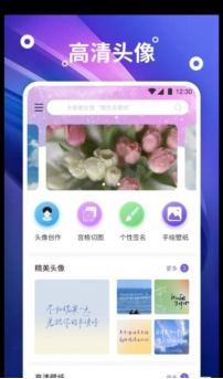 熊猫桌面壁纸app