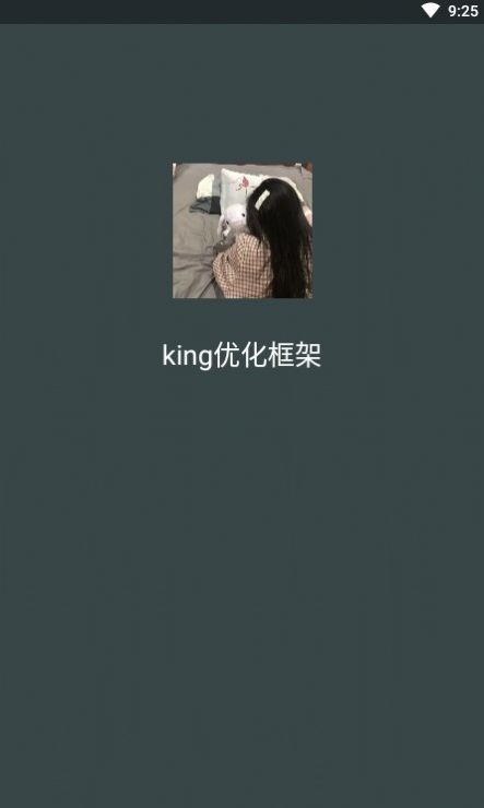 king优化框架