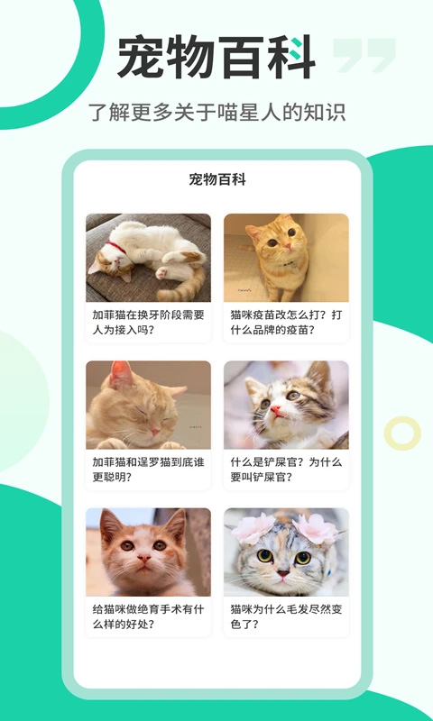 猫语翻译机app